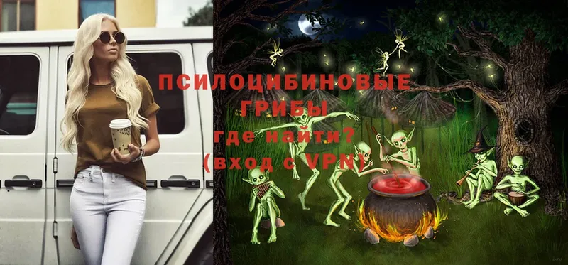 Псилоцибиновые грибы ЛСД  Ейск 